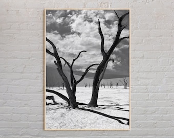 Impresión de Namibia en blanco y negro, arte mural de Namibia, póster de Namibia, foto de Namibia, impresión de póster de Namibia, decoración de pared de Namibia, póster de África