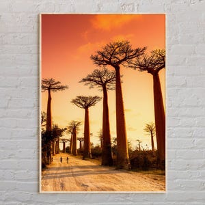 Real Photo, Madagascar Print, Madagascar Wall Art, Madagascar Poster, Madagascar Photo, Madagascar Poster Print, Madagascar Decor