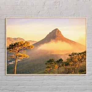Real Photo, South Africa Print, South Africa Wall Art, South Africa Poster, South Africa Photo, South Africa Wall Decor, Cape Town