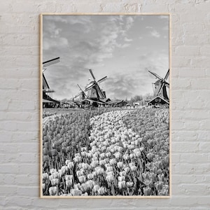 Noir et blanc, impression Pays-Bas, art mural Pays-Bas, affiche Pays-Bas, photo Pays-Bas, décoration murale Pays-Bas, affiche Europe