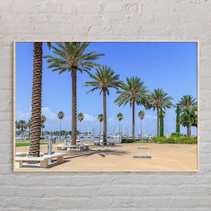 Real Photo, St. Petersburg Print, St. Petersburg Wall Art, St. Petersburg Poster, St. Petersburg Photo, St. Petersburg Wall Decor
