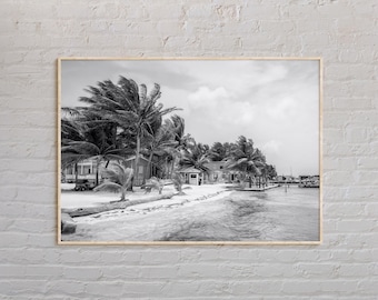Bianco e nero, stampa del Belize, arte murale del Belize, poster del Belize, foto del Belize, stampa poster del Belize, decorazione murale del Belize, stampa dell'America centrale