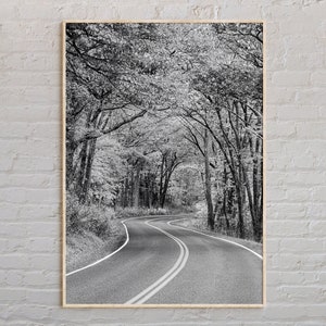 Black and White, Virginia Print, Virginia Wall Art, Virginia Poster, Virginia Photo, Virginia Poster Print, Virginia Decor, USA Poster