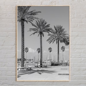 Black and White, St. Petersburg Print, St. Petersburg Wall Art, St. Petersburg Poster, St. Petersburg Photo, St. Petersburg Wall Decor