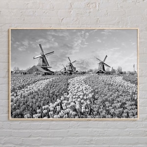 Noir et blanc, impression Pays-Bas, art mural Pays-Bas, affiche Pays-Bas, photo Pays-Bas, décoration murale Pays-Bas, affiche Europe