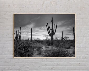 Black and White, Arizona Print, Arizona Wall Art, Arizona Poster, Arizona Photo, Arizona Poster Print, Arizona Wall Decor, USA Print