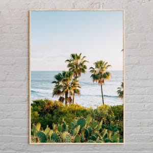 Real Photo, Southern California Print, California Wall Art, Southern California Poster, California Photo, California Poster Print