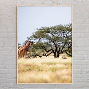 Real Photo, Somalia Print, Somalia Wall Art, Somalia Poster, Somalia Photo, Somalia Poster Print, Somalia Wall Decor, Africa Poster