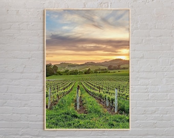 Foto reale, stampa della Napa Valley, arte murale della Napa Valley, poster della Napa Valley, foto della Napa Valley, stampa del poster della Napa Valley