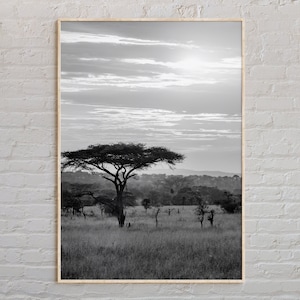 Black and White, Africa Print, Africa Wall Art, Africa Poster, Africa Photo, Africa Poster Print, Africa Wall Decor, World Poster Print