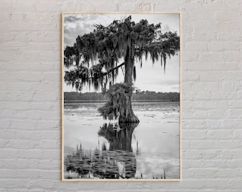 Black and White, Louisiana Print, Louisiana Wall Art, Louisiana Poster, Louisiana Photo, Louisiana Poster Print, Louisiana Wall Decor, USA