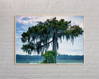 Real Photo, Louisiana Print, Louisiana Wall Art, Louisiana Poster, Louisiana Photo, Louisiana Poster Print, Louisiana Wall Decor, USA