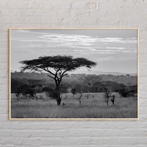 Black and White, Africa Print, Africa Wall Art, Africa Poster, Africa Photo, Africa Poster Print, Africa Wall Decor, World Poster Print