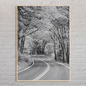 Black and White, Virginia Print, Virginia Wall Art, Virginia Poster, Virginia Photo, Virginia Poster Print, Virginia Decor, USA Poster