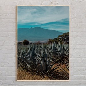 Real Photo, Jalisco Print, Jalisco Wall Art, Jalisco Poster, Jalisco Photo, Jalisco Poster Print, Jalisco Wall Decor, Mexico Poster
