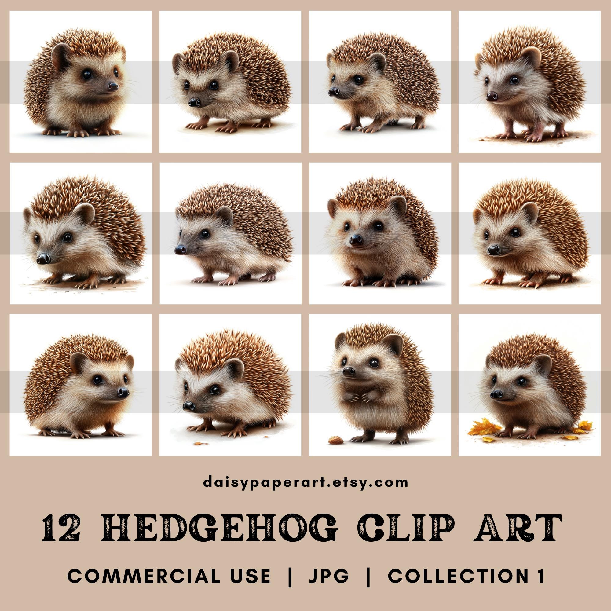 12 Hedgehog Clip Art Images Printable Jpgs Downloadable Hedgehog Images ...
