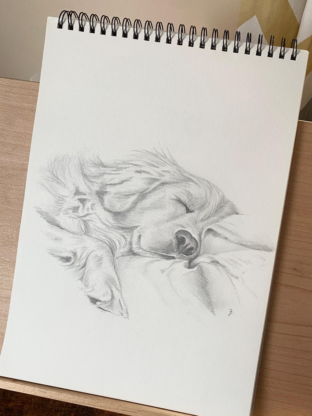 Custom Pet Portrait | Pencil Sketch | Hand Drawn Gift - Etsy