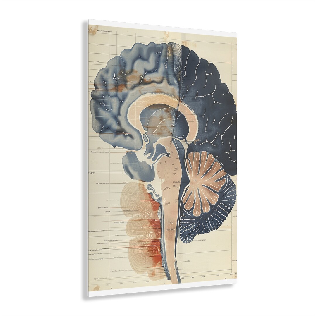 Neuronal Network Map: Brain Scan Poster, Neural Nexus, Neuroscience ...