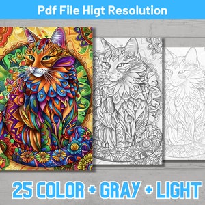 Op de afbeelding: Een kleurrijke, ingewikkelde illustratie van een kat met een mandala-achtig ontwerp. De afbeelding is beschikbaar in drie versies: kleur, grijstinten en zwart-wit. De tekst "25 COLOR + GRAY + LIGHT" staat onderaan de afbeelding.