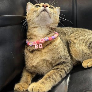 Personalized Beaded Cat Collar, Custom Cat&#39;s Name Collar, Dog Cat ID Collar, Heart Beaded Cat Dog Collar, Custom Pet Necklace, Gift For Cat