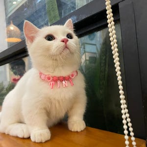 Personalized Beaded Cat Collar, Custom Cat&#39;s Name Collar, Dog Cat ID Collar, Heart Beaded Cat Dog Collar, Custom Pet Necklace, Gift For Cat
