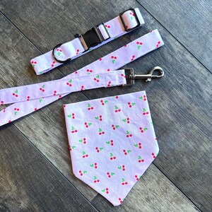 Ensemble collier, laisse et bandana pour chien – Ensemble d&#39;accessoires pour chien assortis | Bandana sur le col, collier réglable et laisse | Coffret cadeau fait main pour animal de compagnie