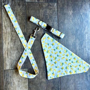 Ensemble collier, laisse et bandana pour chien – Ensemble d&#39;accessoires pour chien assortis | Bandana sur le col, collier réglable et laisse | Coffret cadeau fait main pour animal de compagnie
