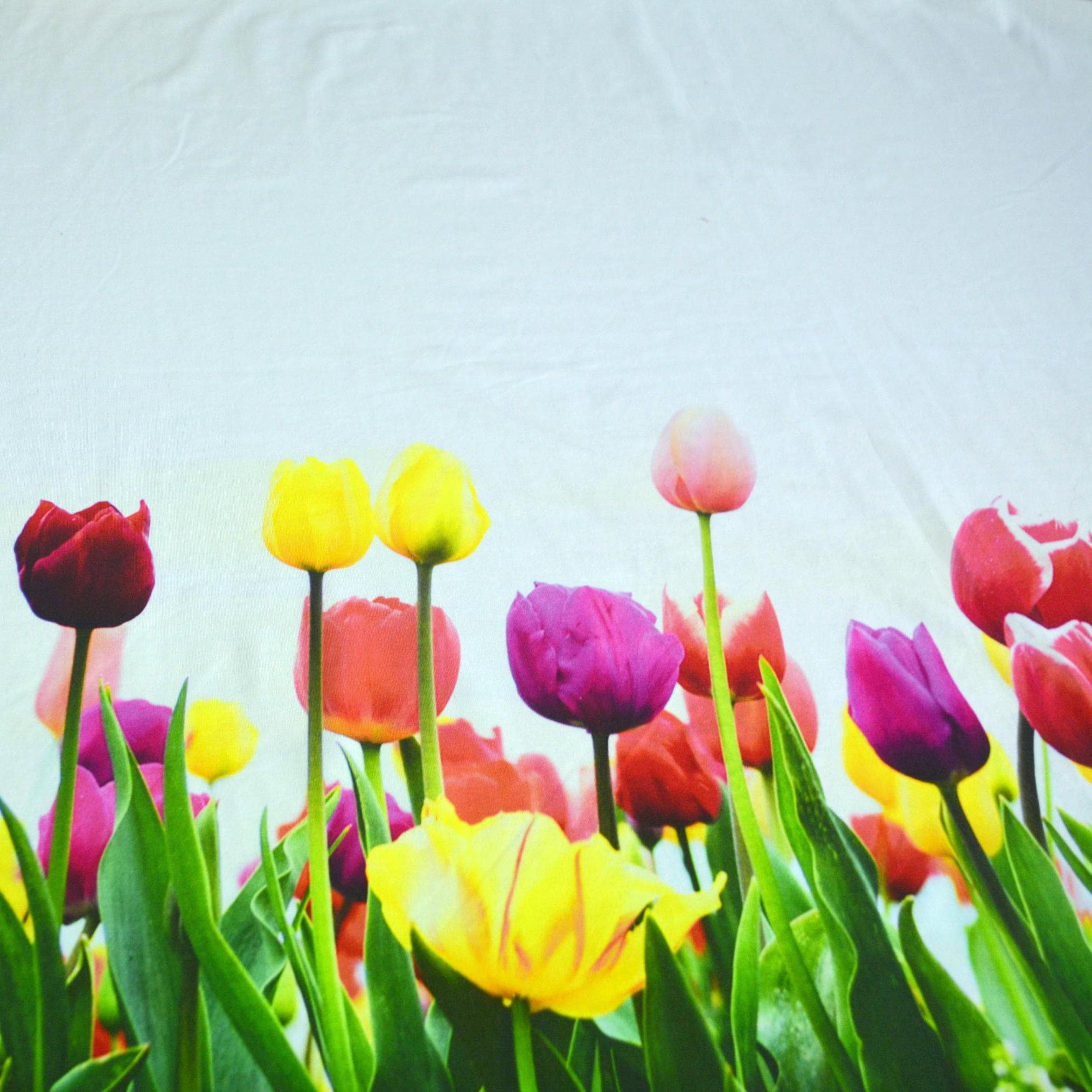 Tulip fields print cotton jersey fabric panel, Floral colorful, 1 yard lenght