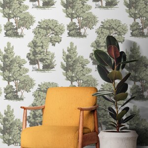 Papier peint autocollant arbres botaniques, papier peint amovible, papier peint forêt tropicale, papier peint forêt tropicale brumeuse autocollant