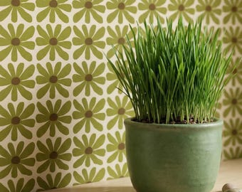 May include: A vibrant green potted plant with long, thin blades of grass sits in a round, matte green ceramic pot. The plant is positioned on a light-colored wooden shelf against a background featuring a repeating pattern of olive green flowers.