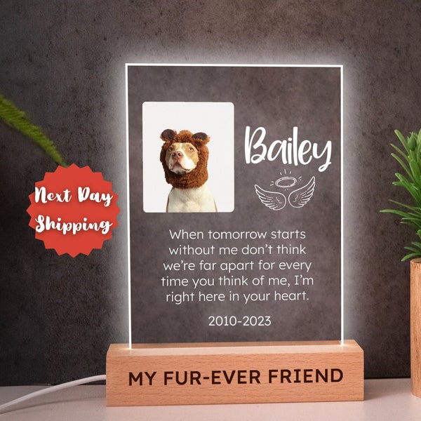 Custom Photo Led Light with Stand, Personalized Photos Night Light, Customized Pet Lamp , Pet Lover Gift, Night Light, LED Night Light