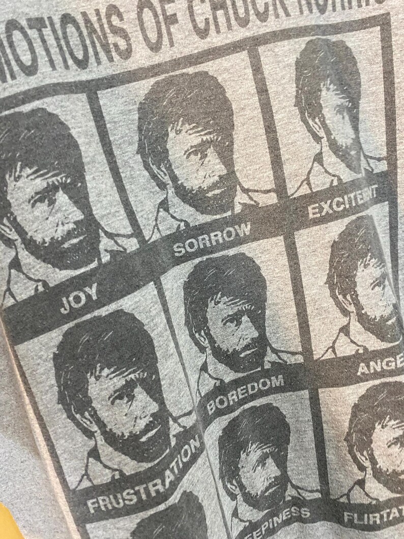 vintage-00s-the-emotions-of-chuck-norris-t-shirt-gray-mens-size-m