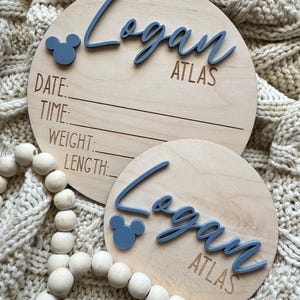 Mouse Inspired Birth Stats and Name Round