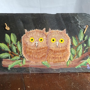 Baby Owls