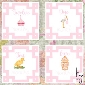 Cartes étape fille | Cartes d'étape | Cigogne | Cadeau bébé | Nouvelle maman | Idées cadeaux | Baby Shower | Cartes bébé mois | Souvenirs | Petite fille