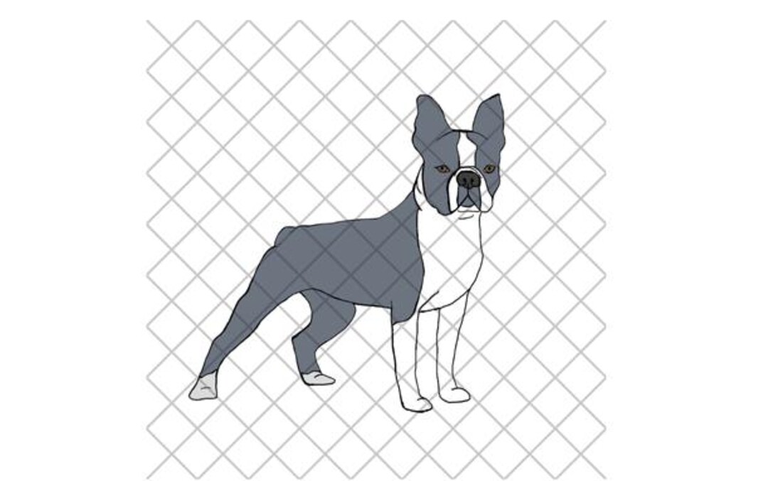 Blue Boston Terrier PNG File Etsy