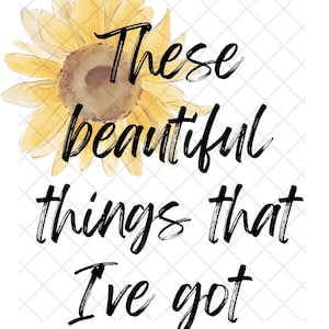 Benson Boone These Beautiful things that I&#39;ve got PNG file