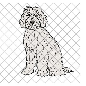 White Labradoodle / Goldendoodle PNG file