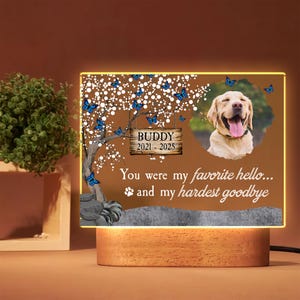 Personalized Pet Memorial Night Light, Custom Gift for Pet Loss, Sympathy Gift, Dog Loss Gift, Cat Loss Gift, Dog Memorial, Pet Photo Gift