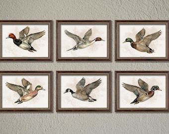 Vintage Duck Wall Art Set of 6 | Waterfowl Printable Bundle