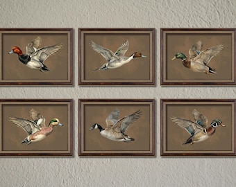 Vintage Duck Wall Art Set of 6 | Waterfowl Printable Bundle
