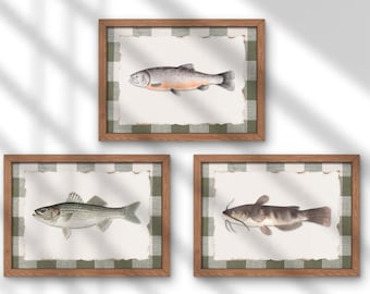 Vintage Fish Wall Art Prints | Set of 3, Nursery, Boys Room Decor | Digital Download