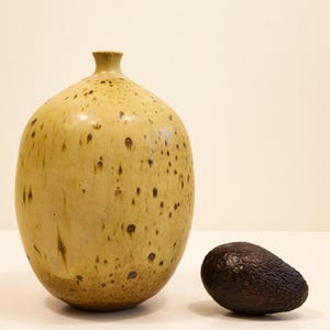 Könnte beinhalten: Eine große, gesprenkelte, gelbbraune Keramikvase mit rundem Körper und schmalem Hals. Daneben eine dunkelbraune Avocado. Die Vase hat dunkelbraune Flecken und eine glänzende Oberfläche. Die Avocado hat eine raue, strukturierte Schale.
