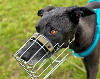 Individueel adviesgesprek en aanpassing van de muilkorf
