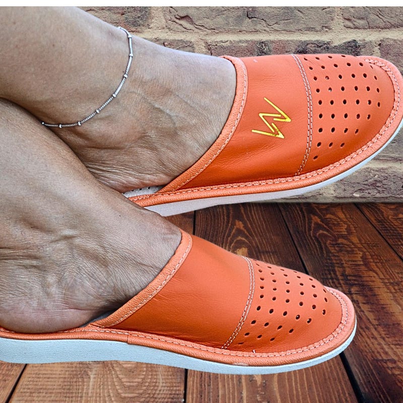 stylish house slippers