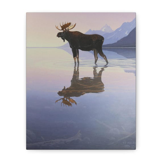 Moose Reflection Canvas
