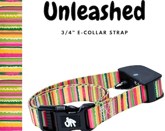 E Collar Strap 3/4 Inch, Fits Educator, Dogtra, Garmin, SportDOG, PetSafe Receivers, Nova