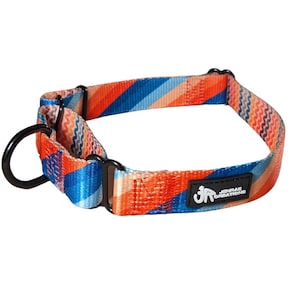 City Boho Martingale Dog Collar: Polyester Training Collar