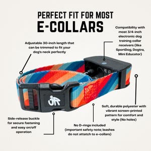 3/4" Replacement E Collar Strap for Mini Educator, Dogtra & Garmin | Screen Printed Polyester Webbing image 6