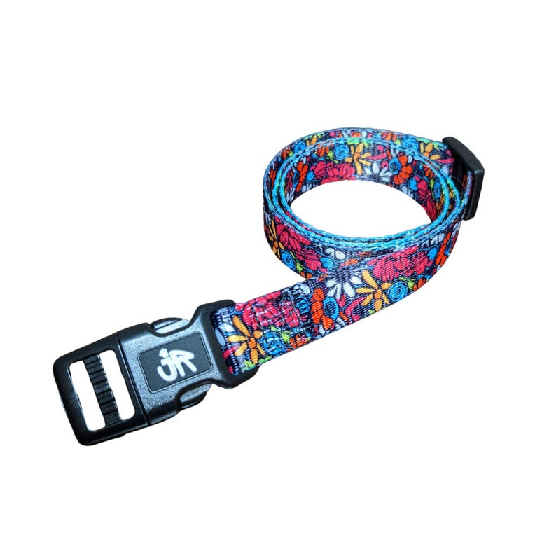 3/4" Replacement E Collar Strap for Mini Educator, Dogtra & Garmin | Screen Printed Polyester Webbing image 3